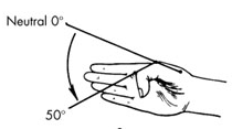 image17