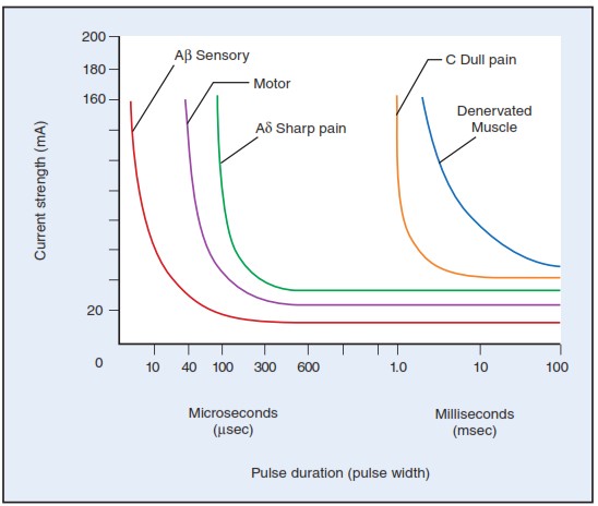 ĐIỆN TRỊ LIỆU_page12_image15