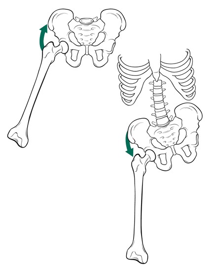gpcn chi duoi_page87_image10