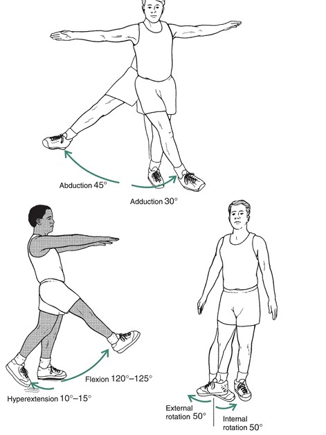 gpcn chi duoi_page87_image20