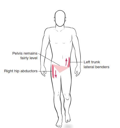 gpcn chi duoi_page87_image25