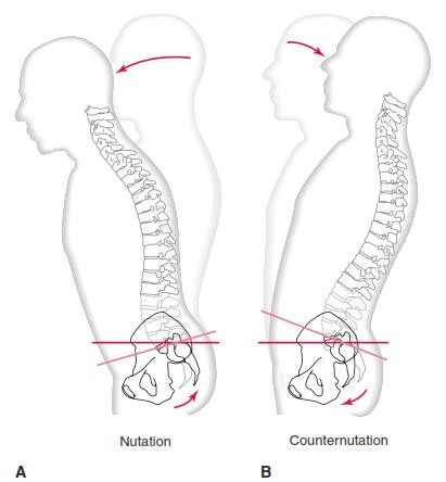gpcn chi duoi_page87_image5