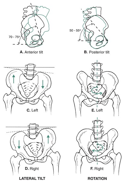 gpcn chi duoi_page87_image6