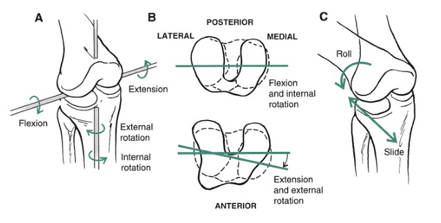 Khớp gối_page10_image10 - Copy