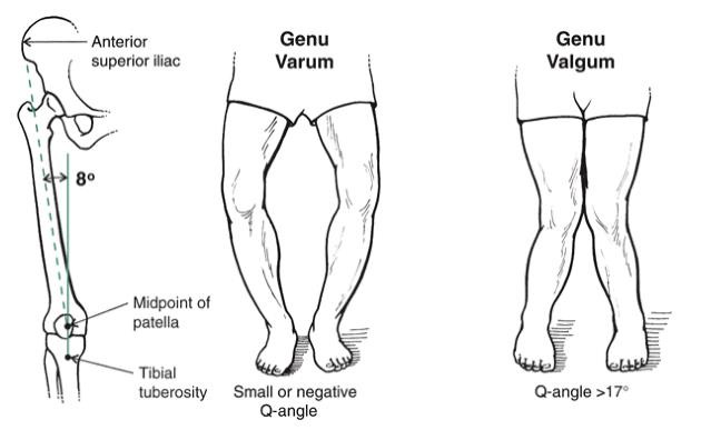 Khớp gối_page10_image6