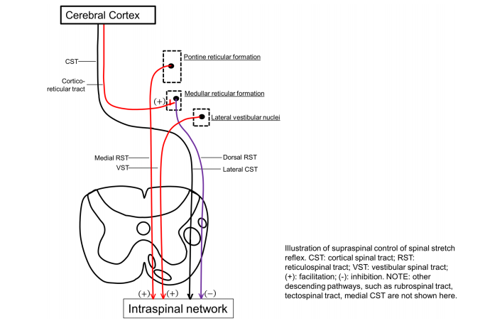 Screen Shot 2016-12-06 at 3.05.38 PM.png