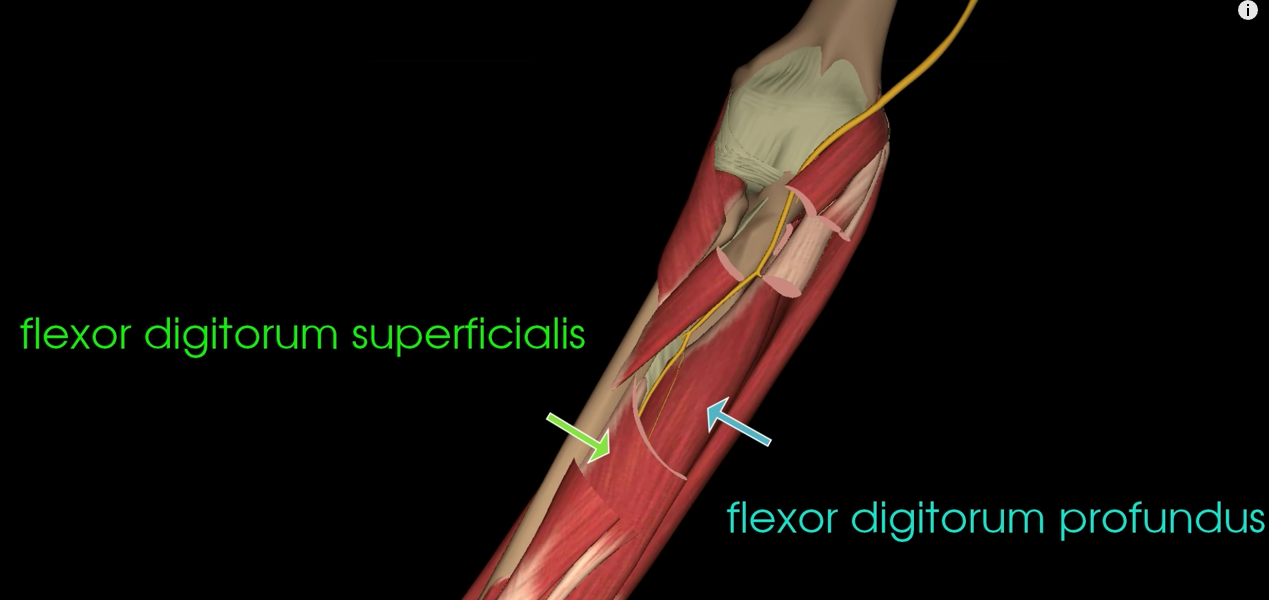 Screen Shot 2016-12-13 at 4.25.24 PM.png