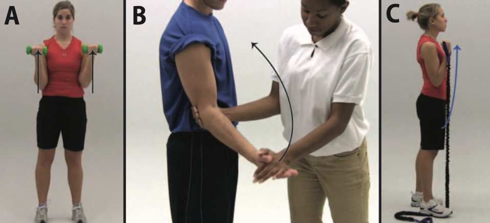 elbow flexion