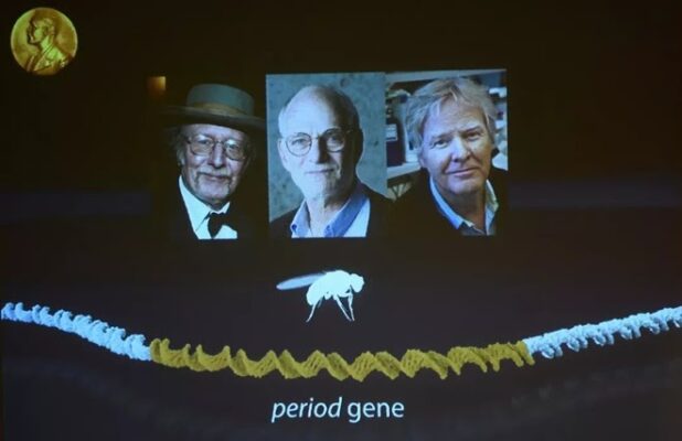 Thí nghiệm kỳ lạ trong hang động khiến nhân loại phải thay đổi lại cách nhìn nhận về đồng hồ sinh học trong cơ thể con người - Ảnh 19.