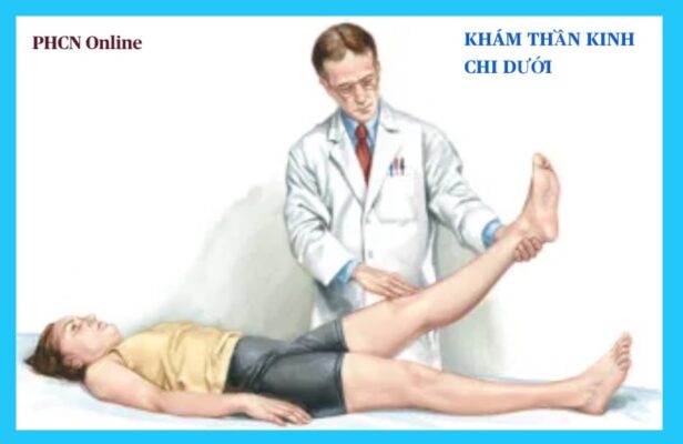 KHÁM THẦN KINH CHI DƯỚI Ở MỨC RỄ VÀ KHOANH TUỶ