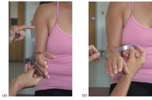 ROM sấp cẳng tay 1