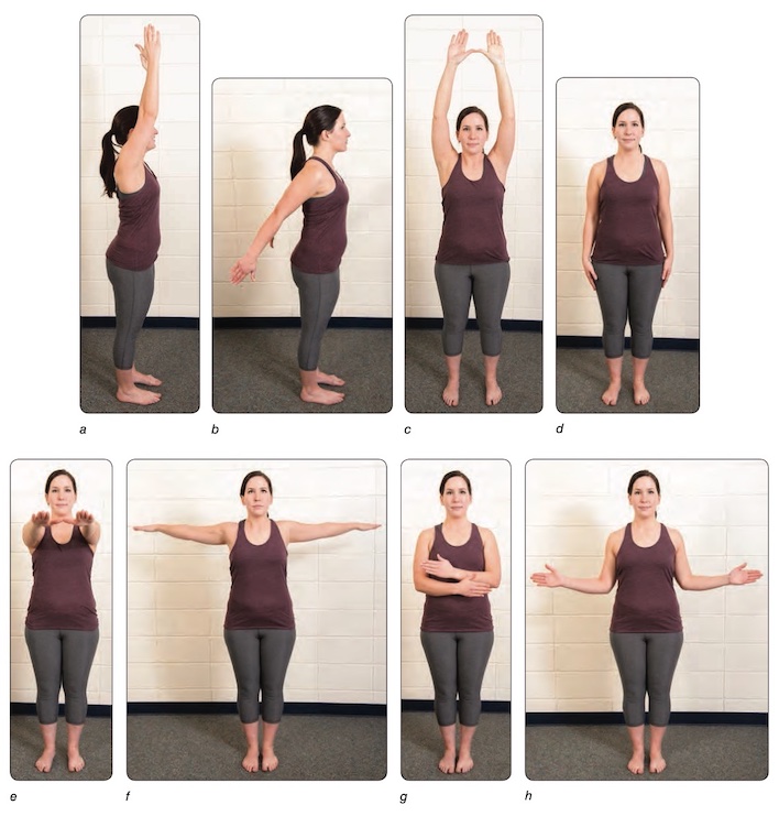 Sàng lọc vận động vai