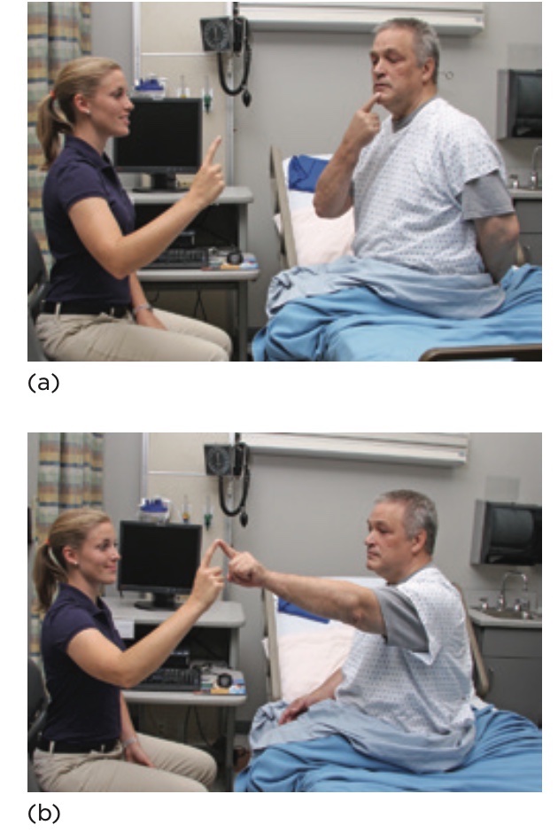 Nghiệm pháp ngón tay chạm ngón tay