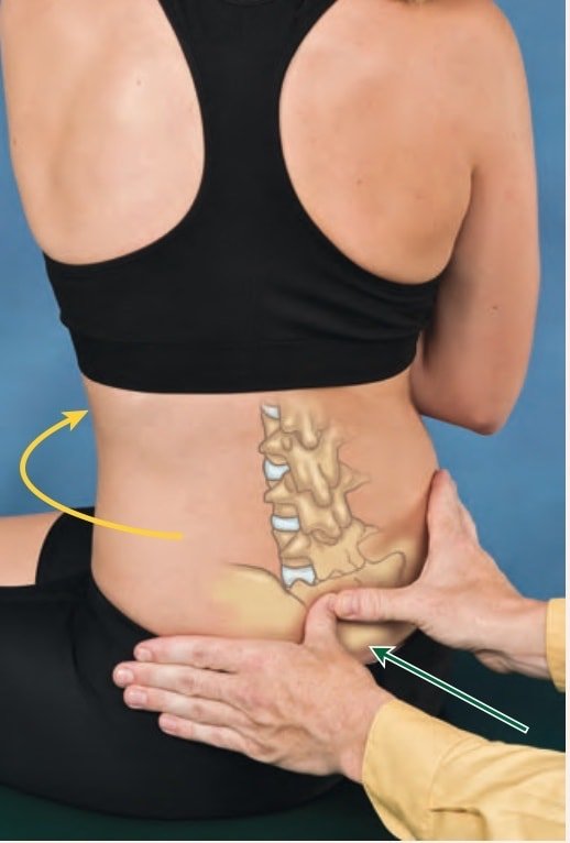 JOINT MOBILIZATION OF THE LUMBOPELVIC SPINE. PART2 - PHCN Online