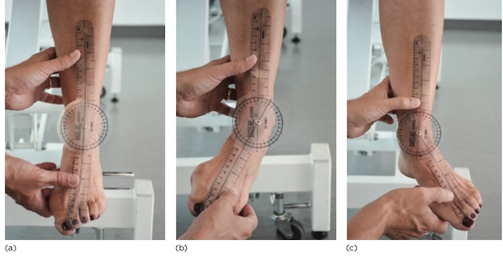 ROM vặn trong (b) và vặn ngoài (c) cổ chân