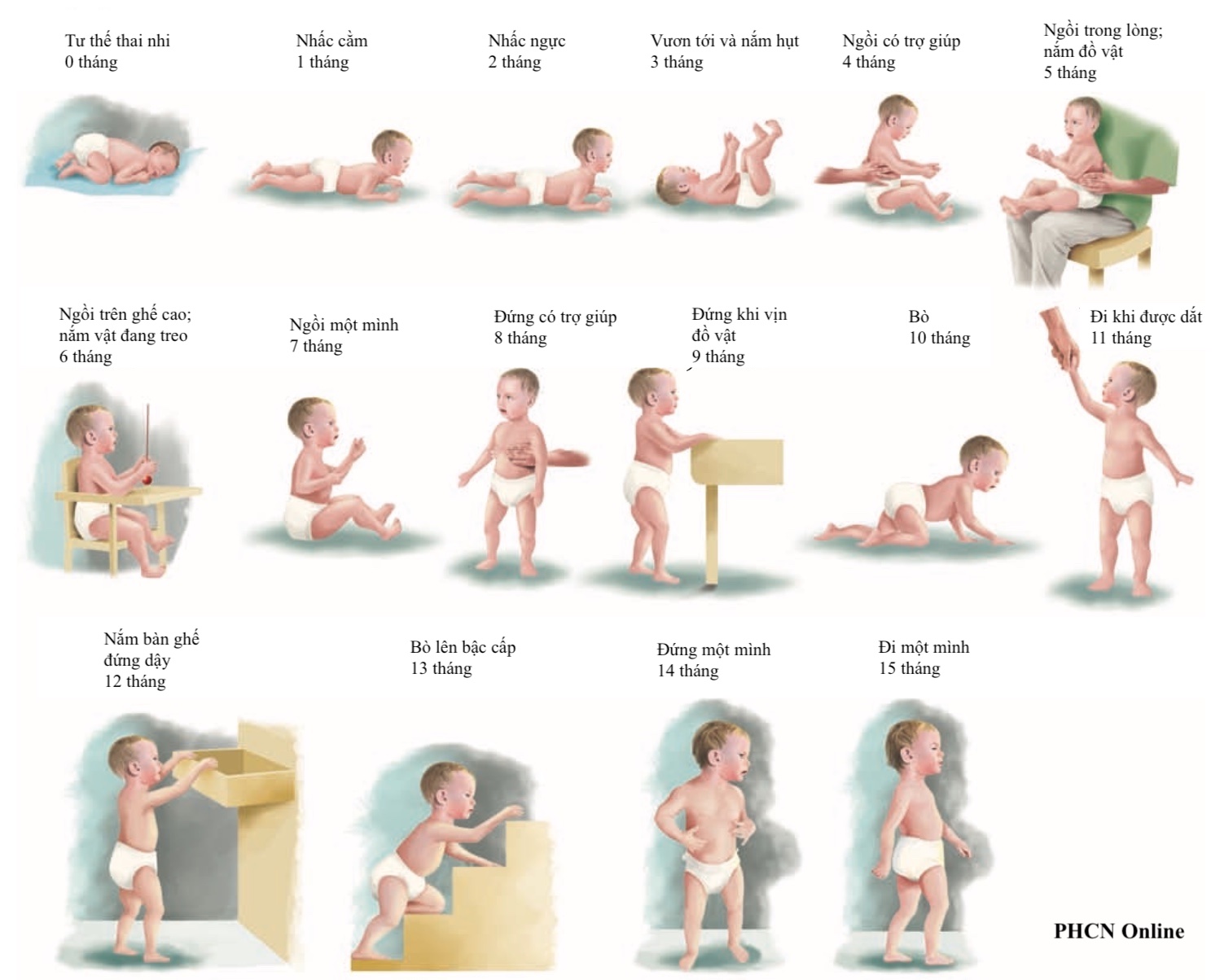 Sự phát triển 2 năm đầu