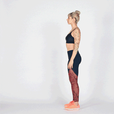 Bản lề khớp háng và với tay