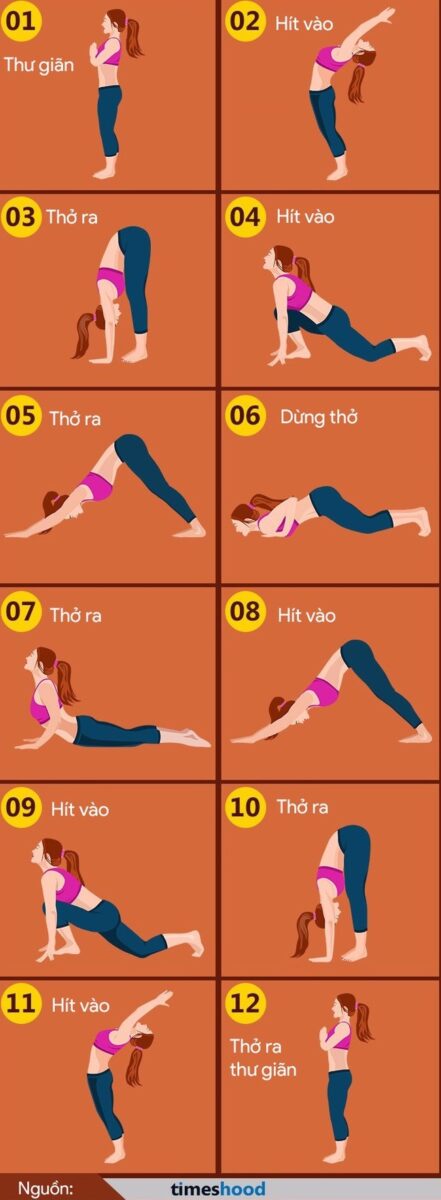 12 tư thế 