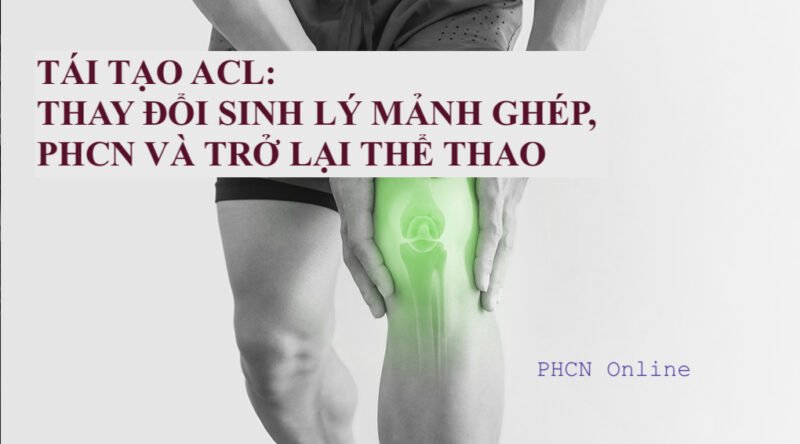TÁI TẠO ACL: THAY ĐỔI SINH LÝ CỦA MẢNH GHÉP, PHỤC HỒI CHỨC NĂNG VÀ TRỞ ...