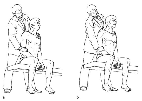 Hình ảnh này chưa có thuộc tính alt; tên tệp của nó là sulcus-563x400.jpeg